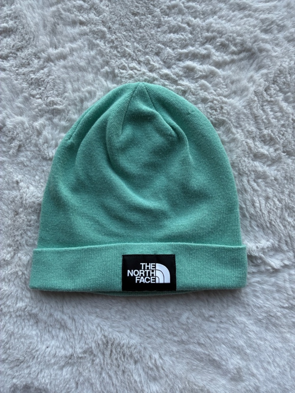 The north face beanie in wasabi color